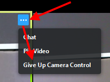 "Give Up Camera Control" option