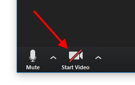 "Start Video" icon to turn on camera